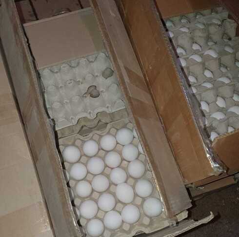 הביצים שאותרו במשאית