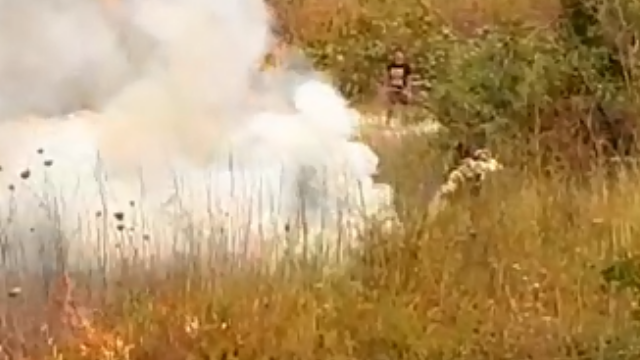 שריפה גדולה פרצה סמוך לנווה אילן; עשרות צוותי כיבוי אש הוזעקו
