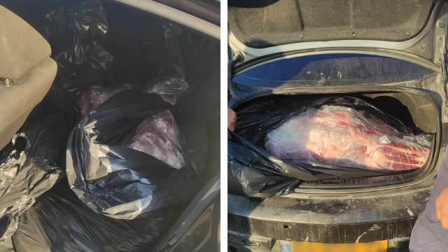 שקיות גדולות עוטפות מאות ק"ג של בשר נמצאו ברכב 