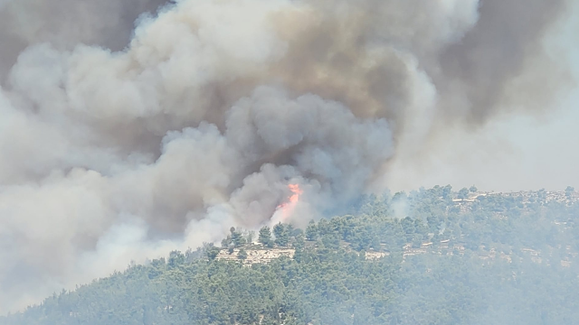 השריפה בהרי ירושלים התחדשה: החל פינוי מקיבוץ צובה; אש ליד ...