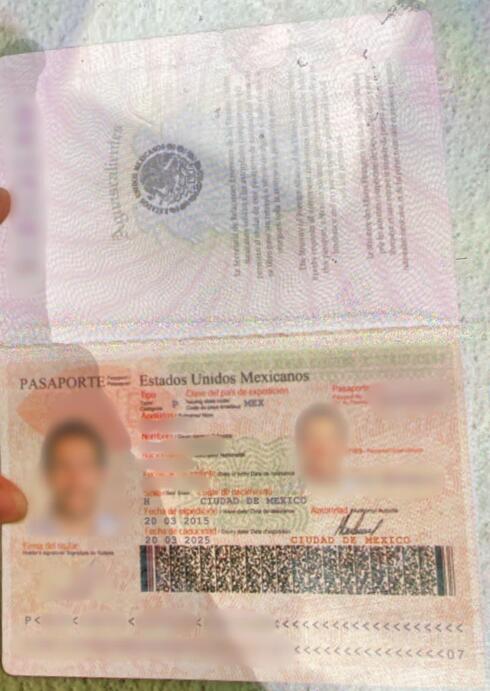תמונות הדרכונים המזויפים שבהם עפ״י החשד השתמש החשוד