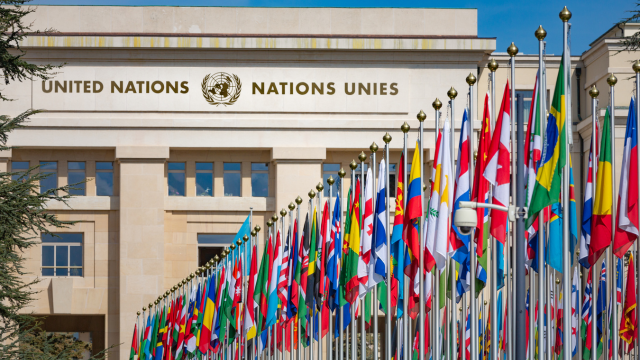 מבנה האו"ם